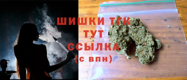 трава Тавда