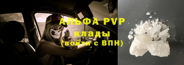 эйфоретик Сясьстрой