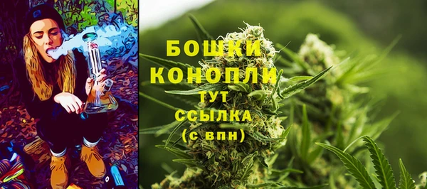 ГАЛЛЮЦИНОГЕННЫЕ ГРИБЫ Ступино