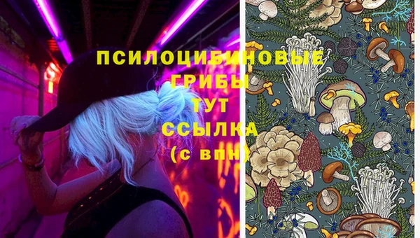 ПСИЛОЦИБИНОВЫЕ ГРИБЫ Струнино