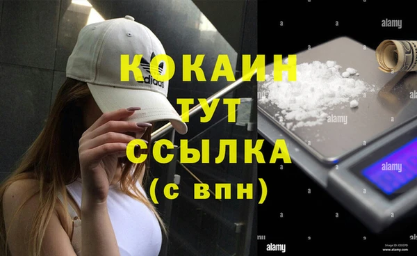 ПСИЛОЦИБИНОВЫЕ ГРИБЫ Струнино