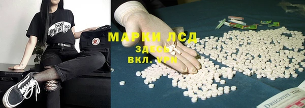 ПСИЛОЦИБИНОВЫЕ ГРИБЫ Струнино